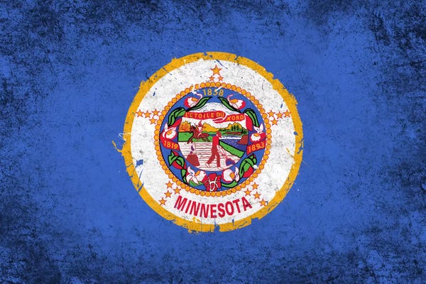 Minnesota: Minnesota FlagGrunge Painted by iCanvas