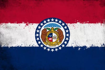 Missouri Fresh Paint State Flag by iCanvas canvas print