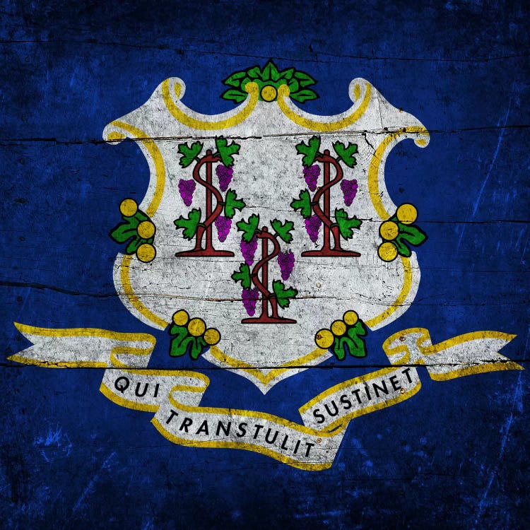 Connecticut (Wood Planks) by iCanvas wall art