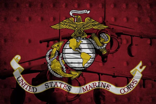 Marines: U.S. Marine Corps Riveted Metal Flag (Harrier Jump Jets Background) by iCanvas