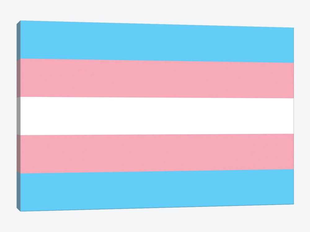 Transgender Pride Flag by 5by5collective 1-piece Canvas Wall Art