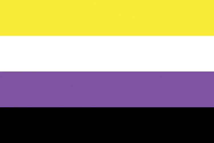 Non-Binary Pride Flag