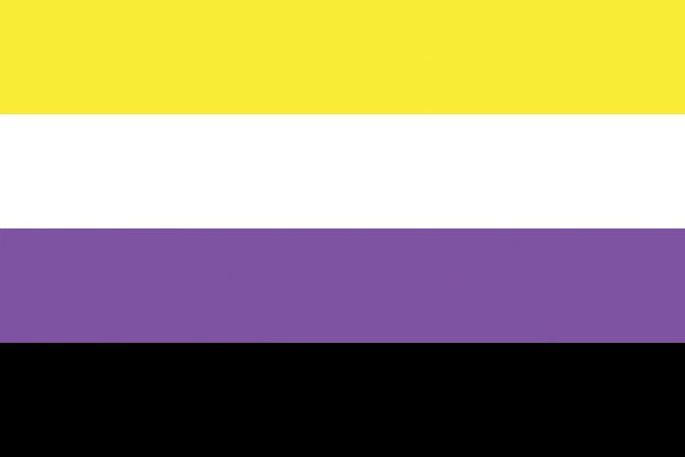 Non-Binary Pride Flag
