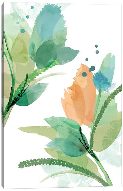 Spring Burst I Canvas Art Print - Floral & Botanical Patterns