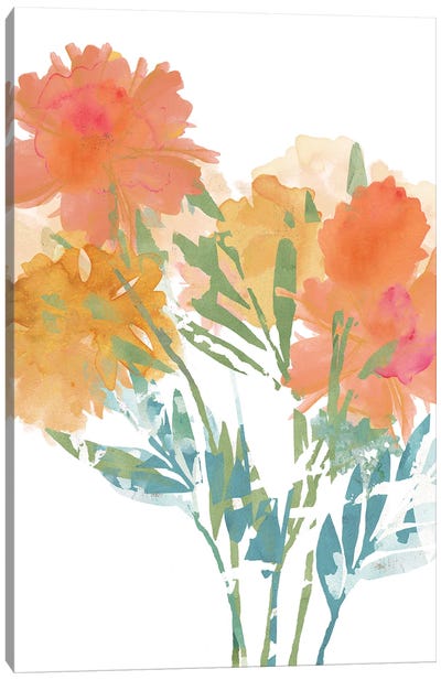 Orange Poppies II Canvas Art Print - Flora Kouta