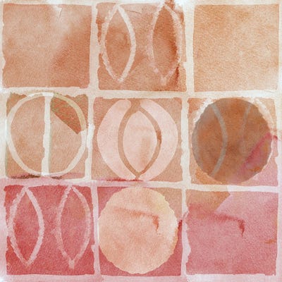 Terra Rosa III by Flora Kouta canvas print