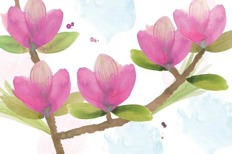 Pink Magnolia I by Flora Kouta canvas print