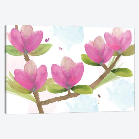 Pink Magnolia I Canvas Print #FLK52} by Flora Kouta Art Print