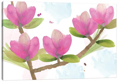 Pink Magnolia I Canvas Art Print - Flora Kouta