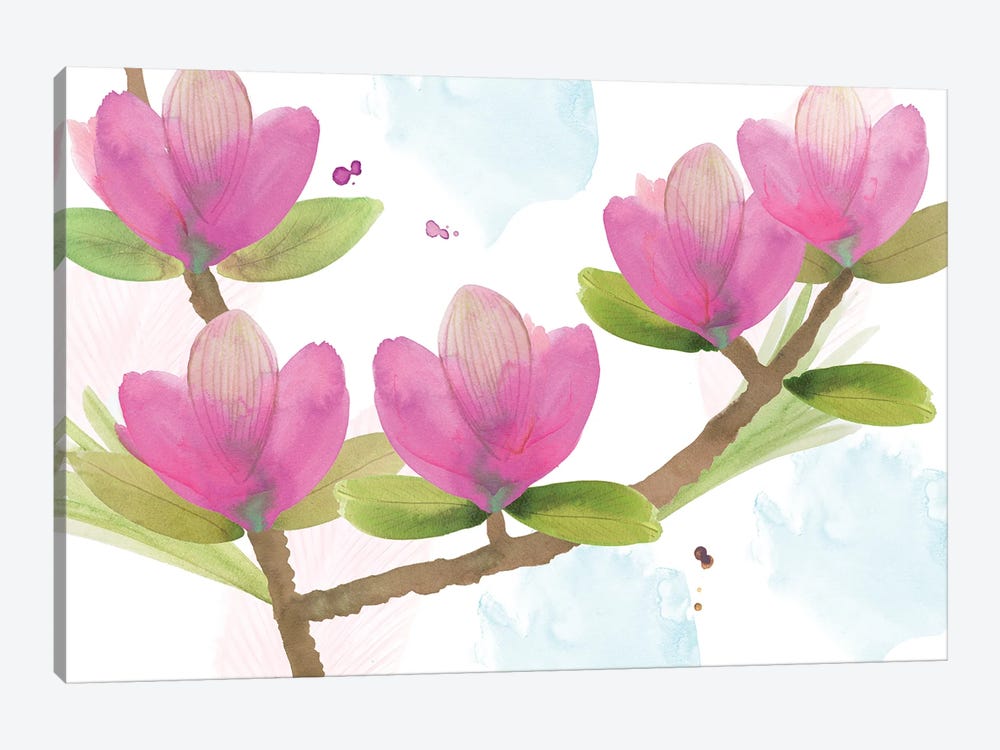 Pink Magnolia I by Flora Kouta 1-piece Canvas Print