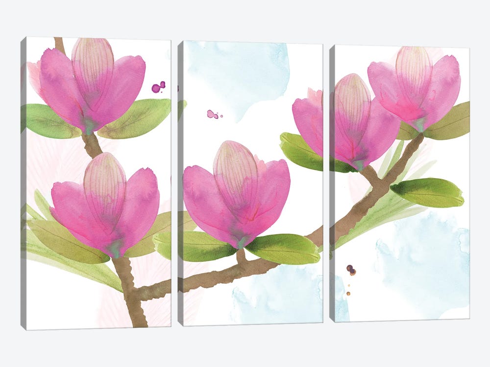 Pink Magnolia I by Flora Kouta 3-piece Canvas Print