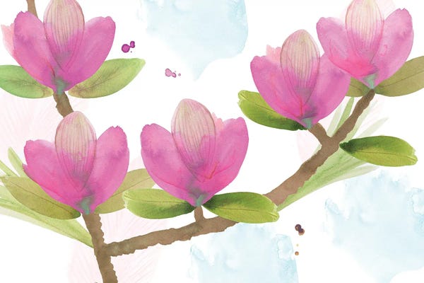 Pink Magnolia I