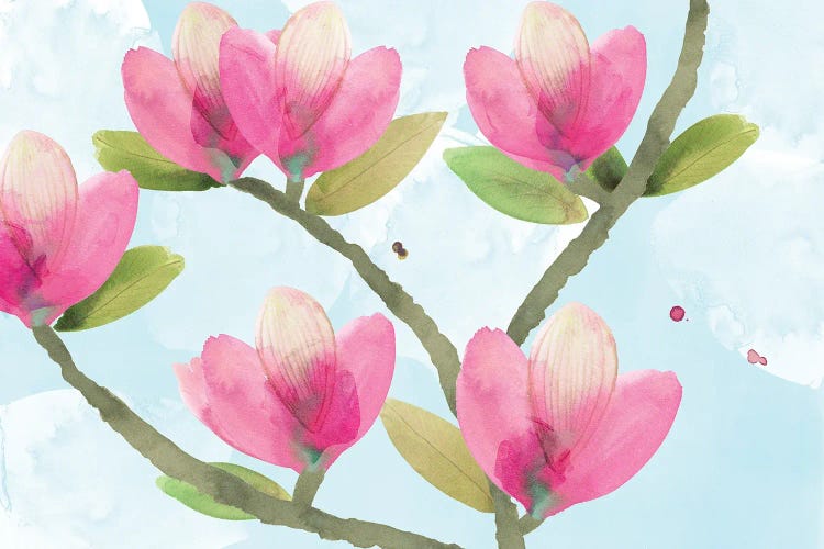 Pink Magnolia III by Flora Kouta canvas print