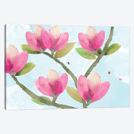 Pink Magnolia III Canvas Print #FLK53} by Flora Kouta Canvas Art Print
