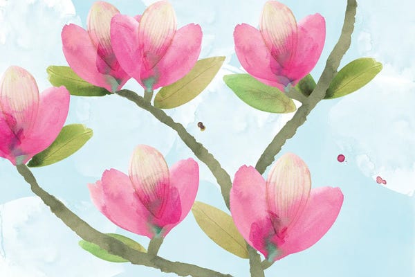 Flora Kouta: Pink Magnolia III by Flora Kouta