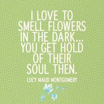 Smell Flowers in the Dark by 5by5collective canvas print