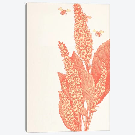 Bees & Flower Canvas Print #FLPN102} by 5by5collective Canvas Art