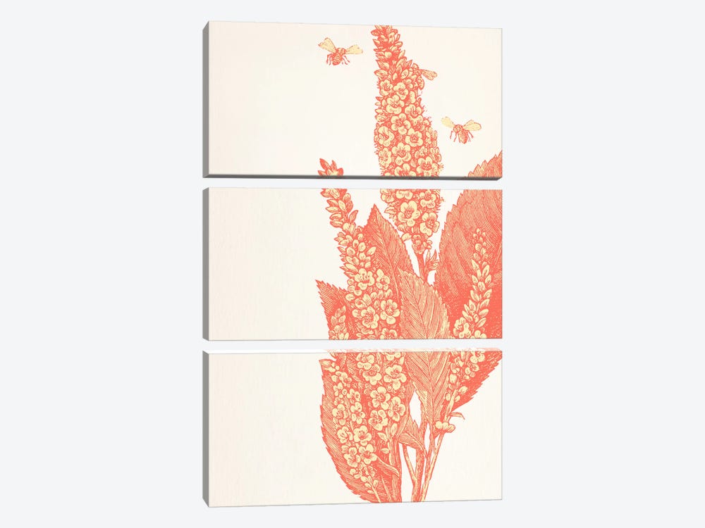 Bees & Flower by 5by5collective 3-piece Canvas Art Print