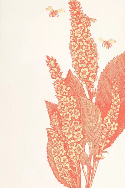 Bees: Bees & Flower by 5by5collective