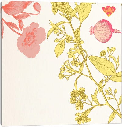 Butterflies & Flowers Canvas Art Print - Floral Pattern Collection