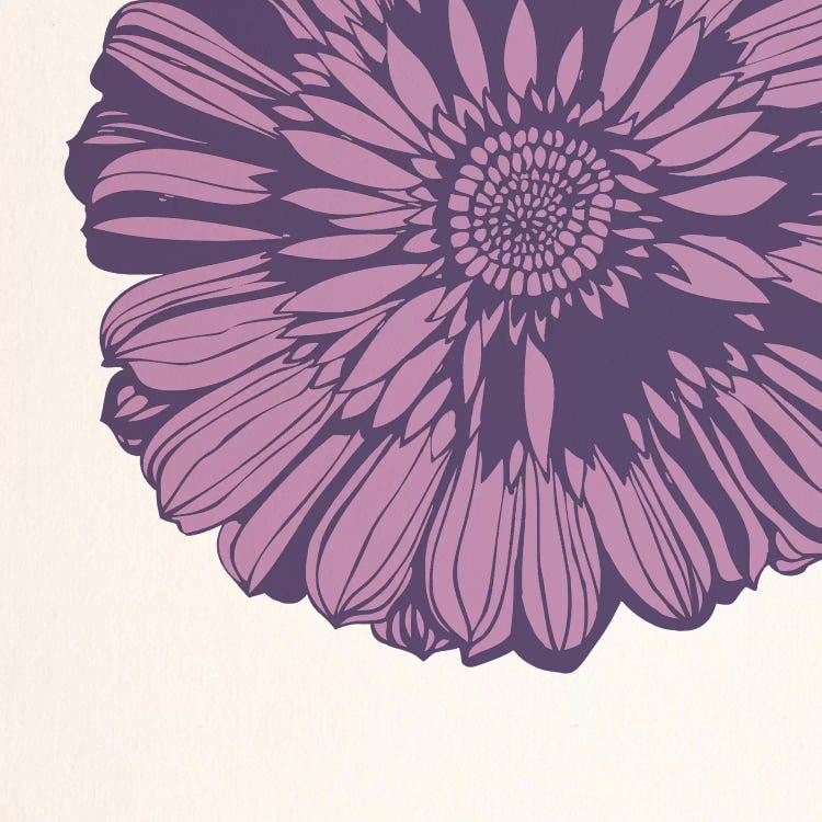 Flower (Pink) by 5by5collective wall art