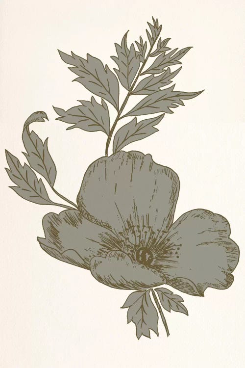 Flower (Gray)