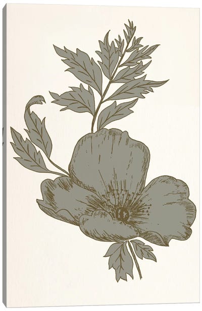 Flower (Gray) Canvas Art Print - Floral Pattern Collection