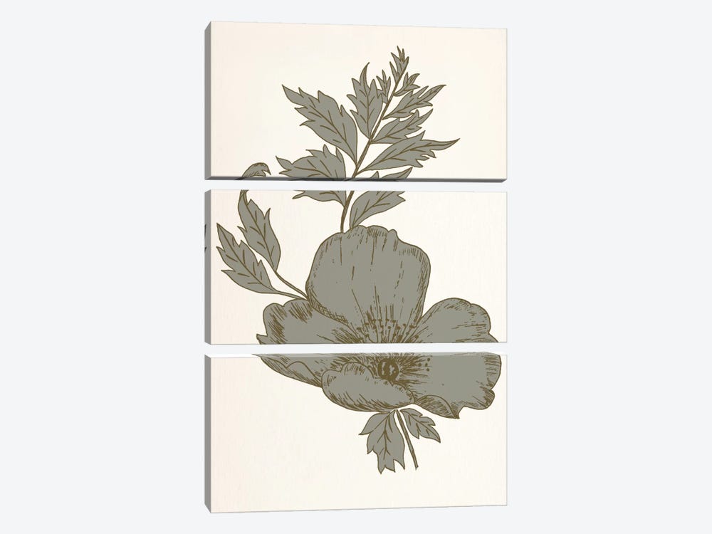 Flower (Gray) by 5by5collective 3-piece Canvas Wall Art