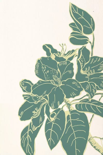 Hibiscuses: Flower & Leaves (Green) by 5by5collective