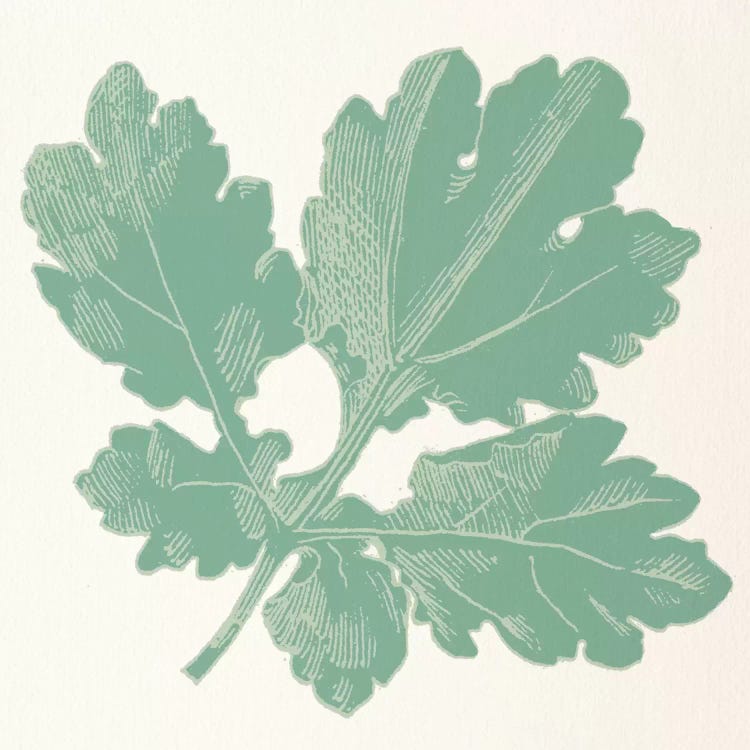 Green Leaf by 5by5collective wall art