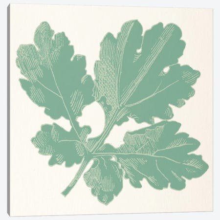 Green Leaf Canvas Print #FLPN126} by 5by5collective Canvas Art Print