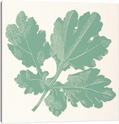 Green Leaf Canvas Art Print - Floral Pattern Collection