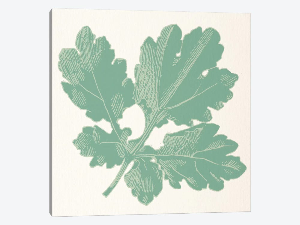 Green Leaf by 5by5collective 1-piece Art Print