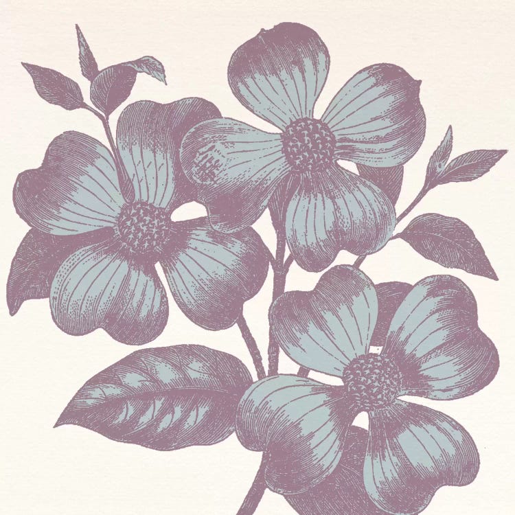 Violets by 5by5collective wall art