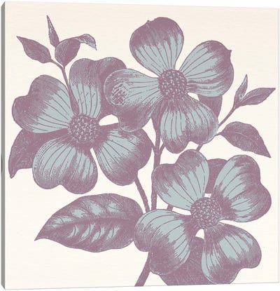 Violets Canvas Art Print
