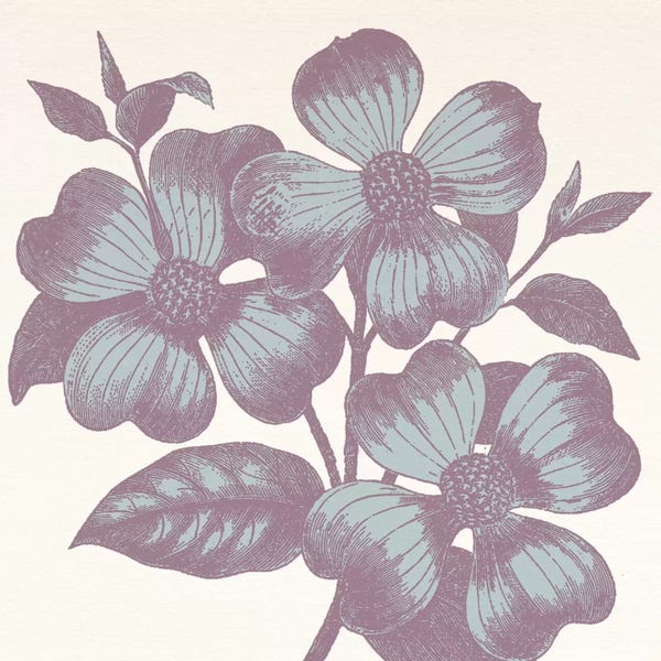 Violets: Violets by 5by5collective