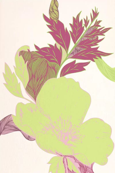 Yellow Viola by 5by5collective canvas print