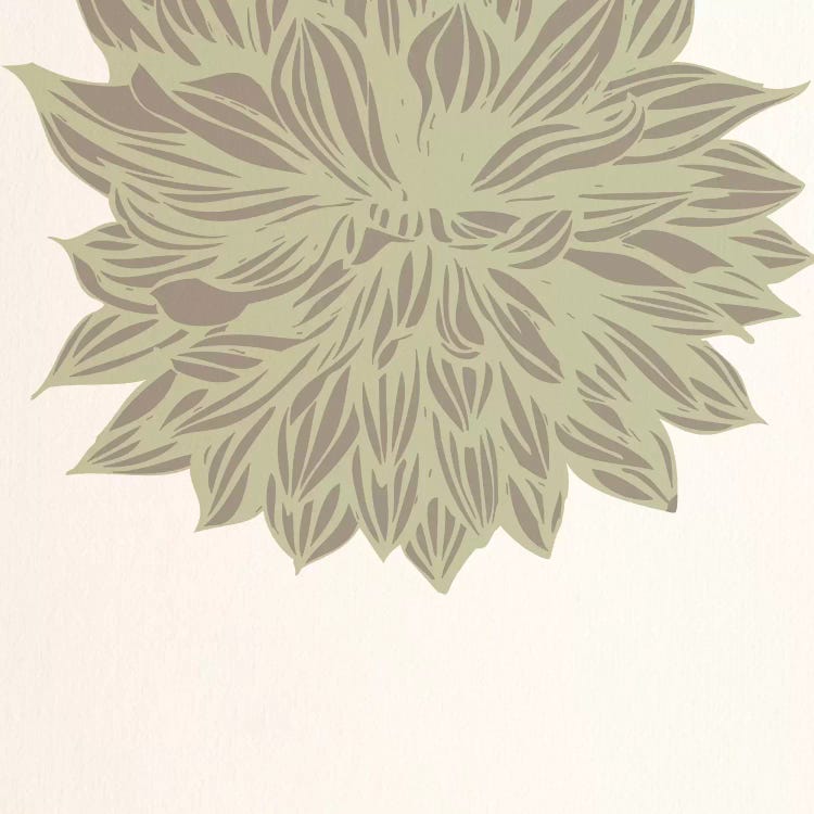 Chrysanthemum (Green) by 5by5collective wall art