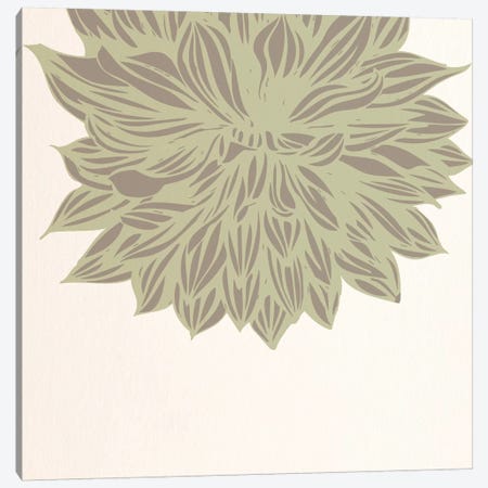 Chrysanthemum (Green) Canvas Print #FLPN138} by 5by5collective Art Print