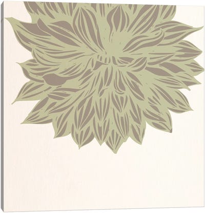 Chrysanthemum (Green) Canvas Art Print - Floral Pattern Collection