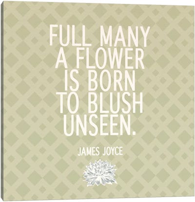 Blush Unseen Canvas Art Print - Floral Pattern Collection
