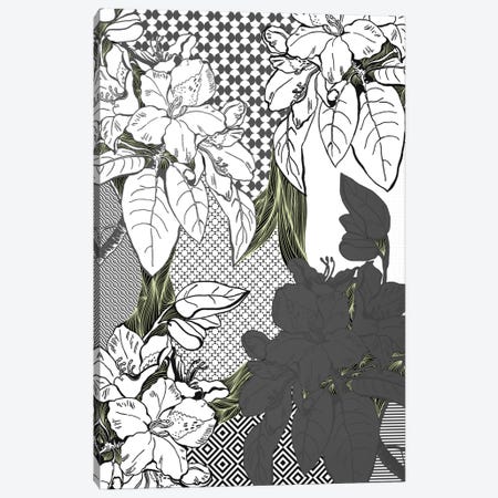 Floral Pattern (White&Black&Green) Canvas Print #FLPN141} by 5by5collective Canvas Artwork