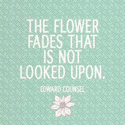 Look At Flowers by 5by5collective canvas print