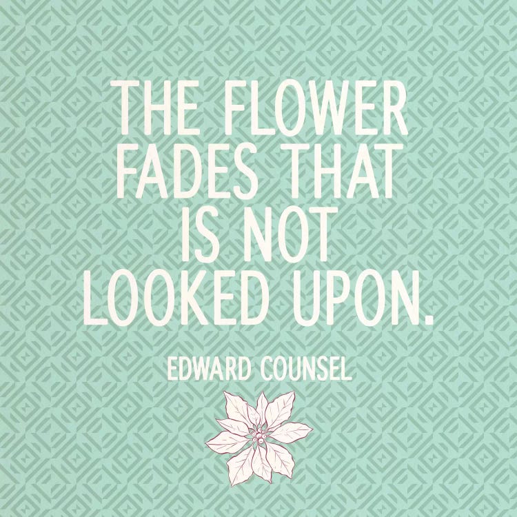 Look At Flowers by 5by5collective wall art