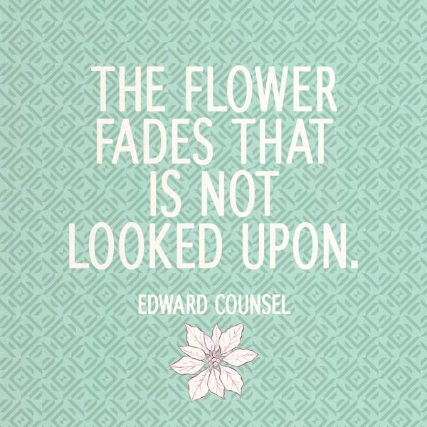 Look At Flowers