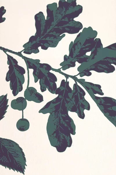 Oak Sprig by 5by5collective framed wall art