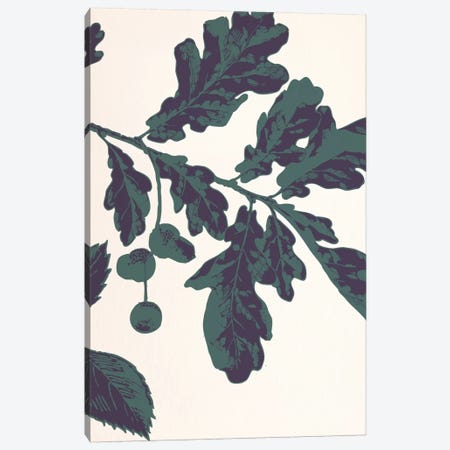 Oak Sprig Canvas Print #FLPN150} by 5by5collective Canvas Art Print