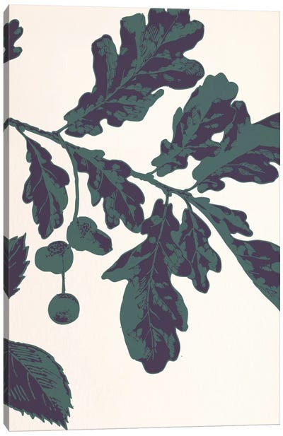 Oak Sprig Canvas Art Print - Floral Pattern Collection