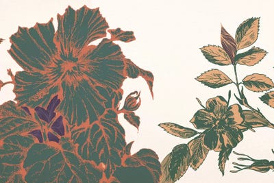 Flowers&Sprigs by 5by5collective canvas print