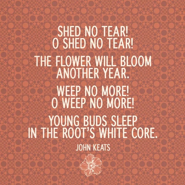The Flower Will Bloom